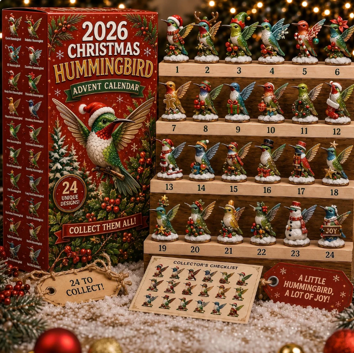 Kolibrier – adventskalender 2026 – bild 1