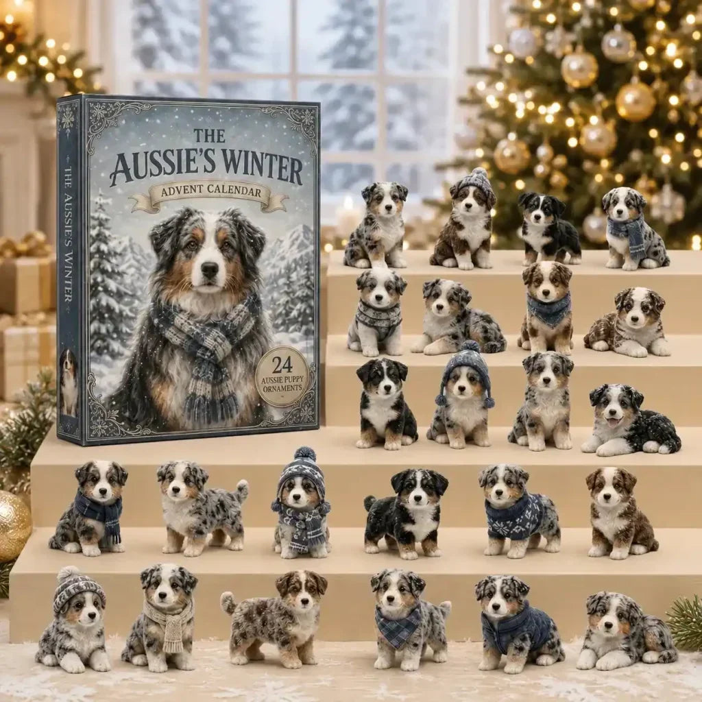Australian shepherd i vintermiljö – adventskalender med 24 dagar – bild 1