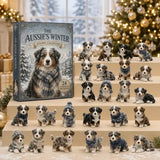 Australian shepherd i vintermiljö – adventskalender med 24 dagar – bild 1